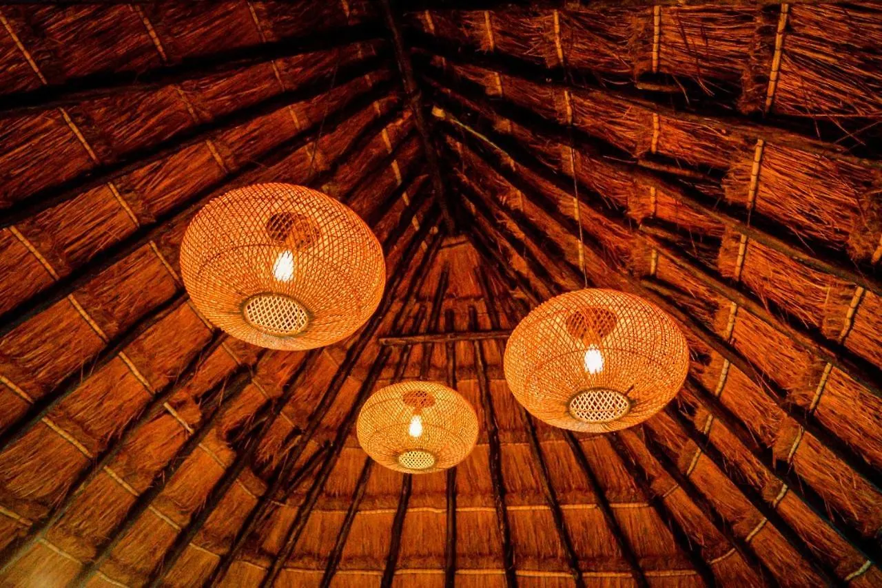 Hotel El Tropical Playa Del Carmen
